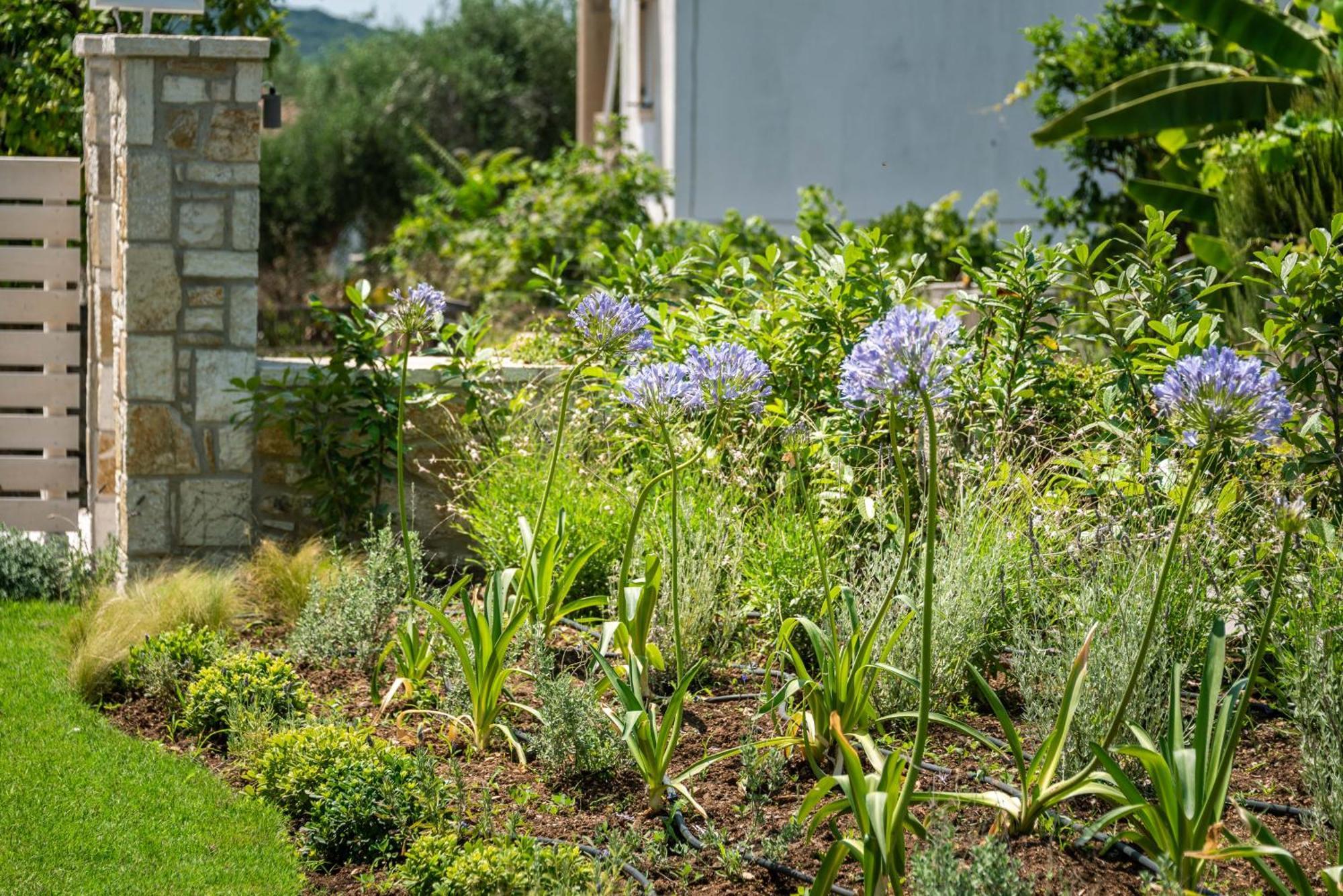 Syvota Gardens Daire Dış mekan fotoğraf